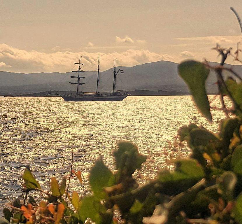 Il Fenicottero Rosa Villa Olbia Eksteriør bilde